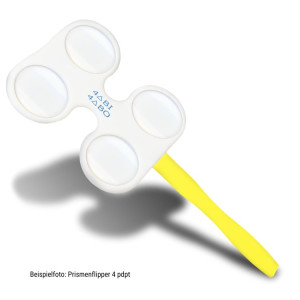 Beispielfoto Prismenflipper 4 pdpt